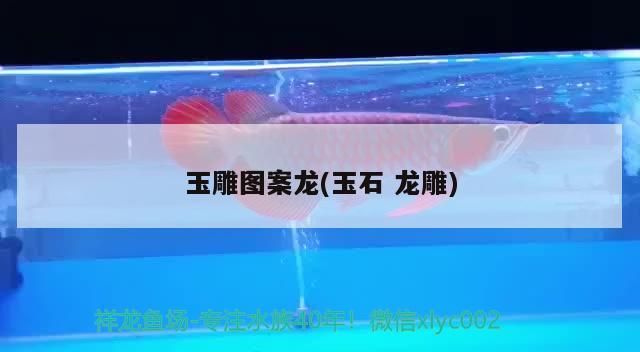 玉雕圖案龍(玉石龍雕)（100種玉吊墜的圖案大全） 玉雕圖案龍(玉石龍雕)（100種玉吊墜的圖案大全） 觀賞魚百科