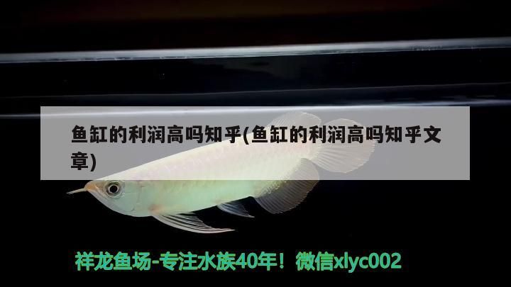 魚缸的利潤高嗎知乎(魚缸的利潤高嗎知乎文章)（觀賞魚缸的利潤高嗎，魚缸的利潤高嗎） 魚缸的利潤高嗎知乎(魚缸的利潤高嗎知乎文章)（觀賞魚缸的利潤高嗎，魚缸的利潤高嗎） 觀賞魚百科