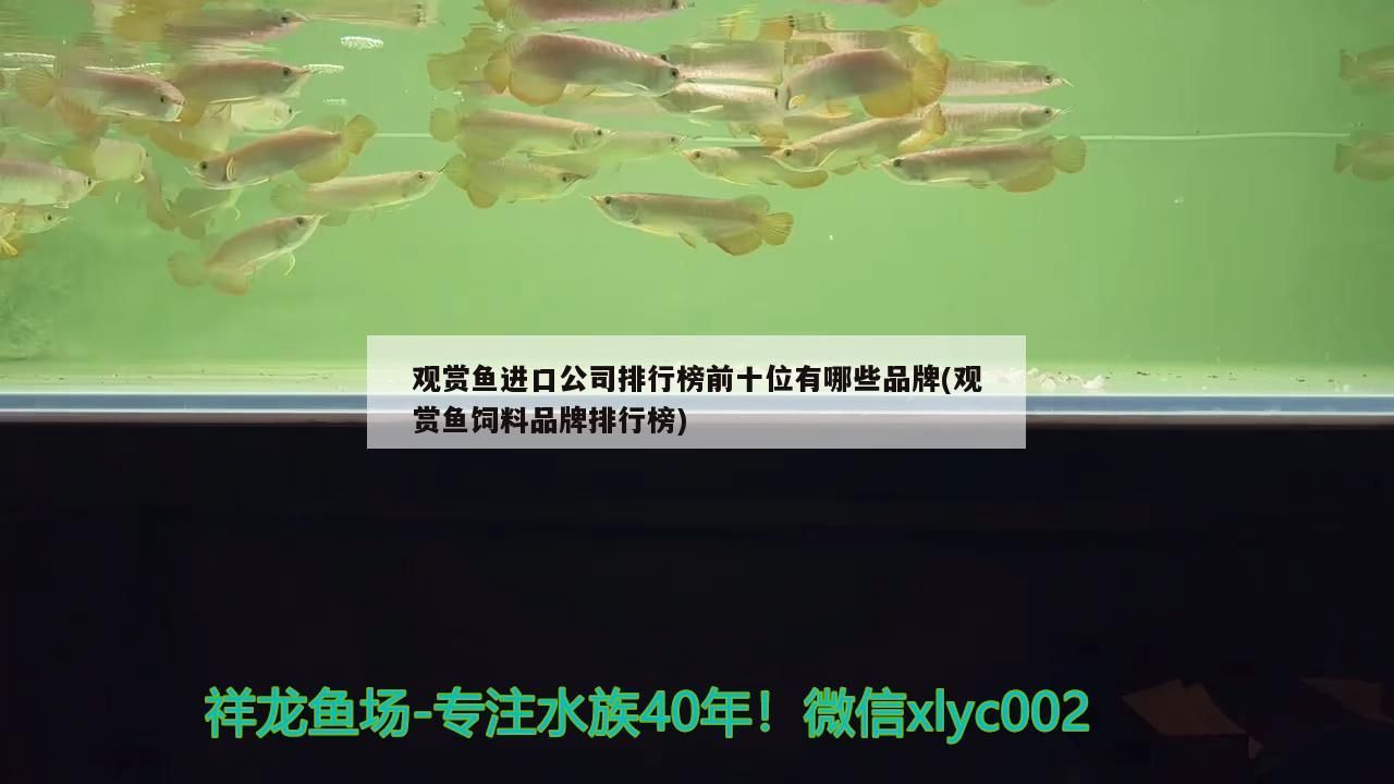 煮熟的鴨子飛了（“煮熟的鴨子飛了”現(xiàn)象對個人和組織可能產(chǎn)生影響）