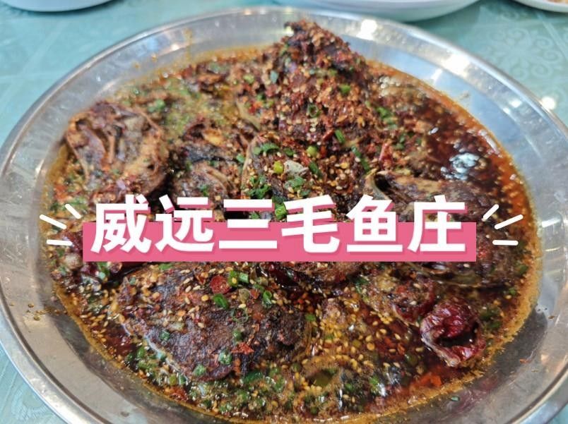 威遠三毛魚莊（內江威遠“三毛魚莊”為何這么火|爭創天府旅游名縣封面新聞） 威遠三毛魚莊（內江威遠“三毛魚莊”為何這么火|爭創天府旅游名縣封面新聞） 觀賞魚百科 第2張