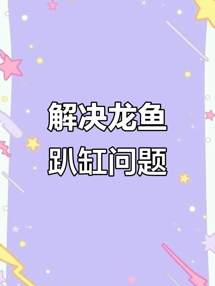 龍魚下沉缸底原因（龍魚下沉缸底可能是由多種因素引起的） 龍魚下沉缸底原因（龍魚下沉缸底可能是由多種因素引起的） 觀賞魚百科 第4張