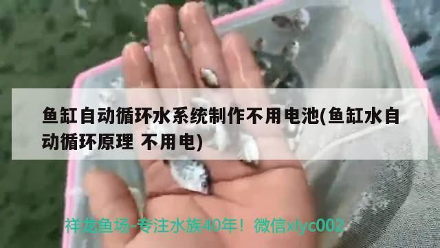 魚缸自動循環水系統制作不用電池(魚缸水自動循環原理不用電)（鳳凰網-自動換水魚缸自動循環水系統制作不用電）
