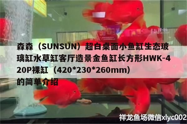 森森（SUNSUN）超白桌面小魚缸生態玻璃缸水草缸客廳造景金魚缸長方形HWK-420P裸缸（420（森森森（sunsun）超白桌面小魚缸生態玻璃缸客廳造景金魚缸）