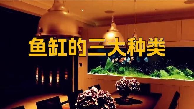 最建議買三樣魚缸（三款各具特色、廣受好評的魚缸） 最建議買三樣魚缸（三款各具特色、廣受好評的魚缸） 觀賞魚百科 第1張