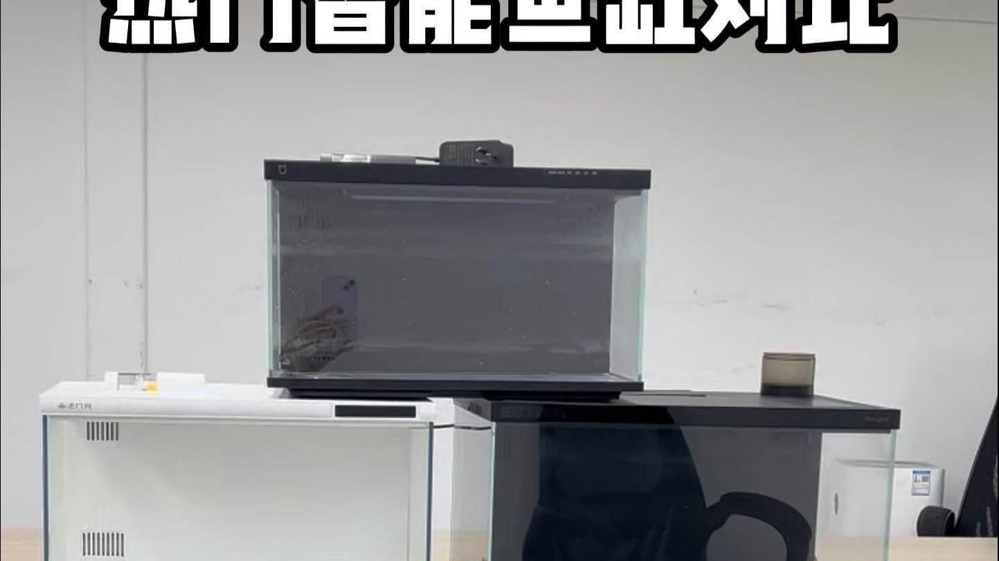 最建議買三樣魚缸（三款各具特色、廣受好評的魚缸） 最建議買三樣魚缸（三款各具特色、廣受好評的魚缸） 觀賞魚百科 第2張