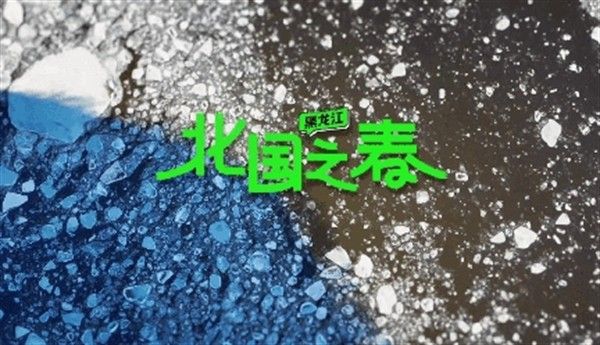 黑龍江最好吃的魚（東北最低調的吃魚小城，卻藏著一條最大的魚，） 黑龍江最好吃的魚（東北最低調的吃魚小城，卻藏著一條最大的魚，） 觀賞魚百科 第8張