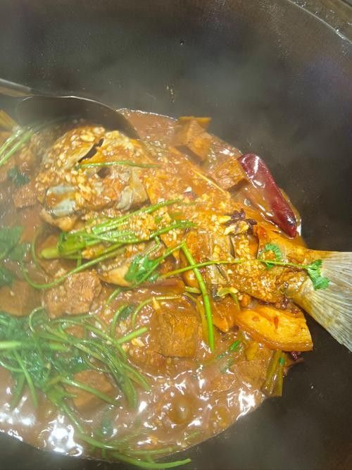黑龍江最好吃的魚（東北最低調的吃魚小城，卻藏著一條最大的魚，） 黑龍江最好吃的魚（東北最低調的吃魚小城，卻藏著一條最大的魚，） 觀賞魚百科 第1張