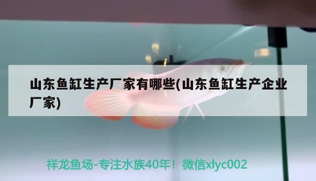 魚缸怎么畫簡單好看(怎樣畫魚缸和小魚)（山東魚缸生產(chǎn)廠家有哪些）