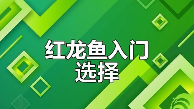 品牌紅龍魚（價值兩百到兩百萬的紅龍!看看你家的紅龍價值多少嗶哩嗶哩） 品牌紅龍魚（價值兩百到兩百萬的紅龍!看看你家的紅龍價值多少嗶哩嗶哩） 觀賞魚百科 第6張