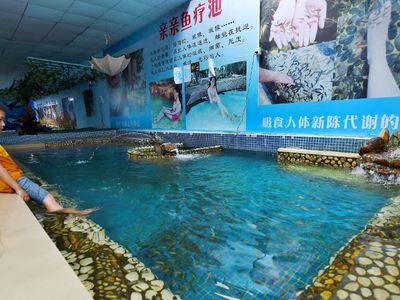 陽江水族館：美的印章、氣韻生動的位于中國 陽江水族館：美的印章、氣韻生動的位于中國 觀賞魚百科 第3張