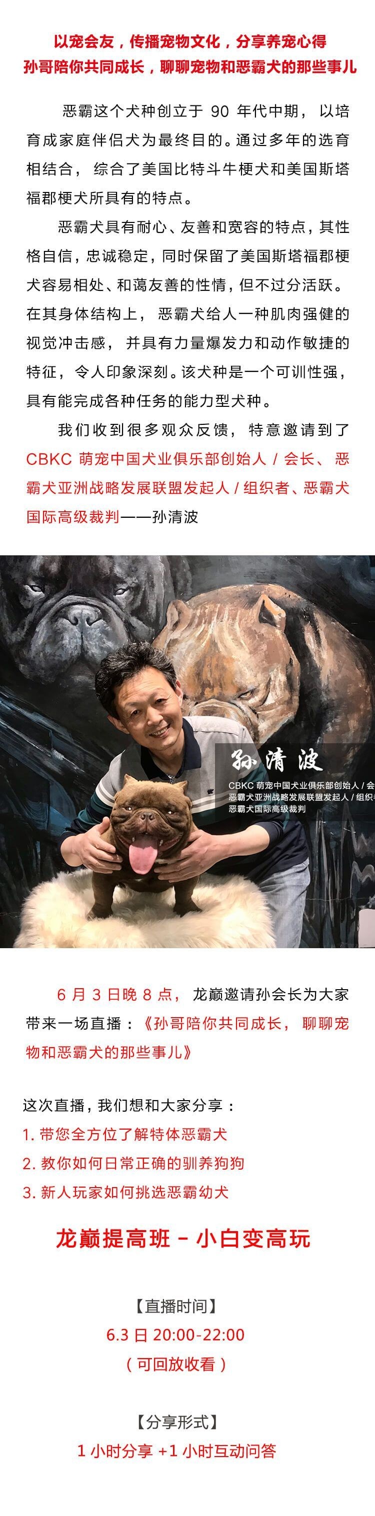 紅龍魚的挑選技巧圖解大全圖片（ 紅龍魚的挑選技巧圖解大全圖片視頻）（紅龍魚怎么挑選）