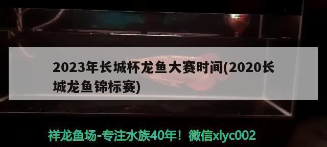 龍魚怕什么 2023年長城杯龍魚大賽時(shí)間(2020長城龍魚錦標(biāo)賽)(2023年長城杯龍魚大賽) 觀賞魚百科 2023年長城杯龍魚大賽時(shí)間(2020長城龍魚錦標(biāo)賽)(2023年長城杯龍魚大賽) 2023年長城杯龍魚大賽時(shí)間(2020長城龍魚錦標(biāo)賽)(2023年長城杯龍魚大賽) 觀賞魚百科