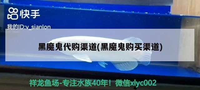 黑魔鬼代購(gòu)渠道(黑魔鬼購(gòu)買渠道)（黑魔鬼代購(gòu)渠道和黑魔鬼購(gòu)買渠道）
