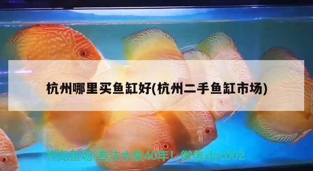 杭州哪里買魚缸好(杭州二手魚缸市場)（杭州二手魚缸市場、杭州哪里買魚缸好） 杭州哪里買魚缸好(杭州二手魚缸市場)（杭州二手魚缸市場、杭州哪里買魚缸好） 觀賞魚百科