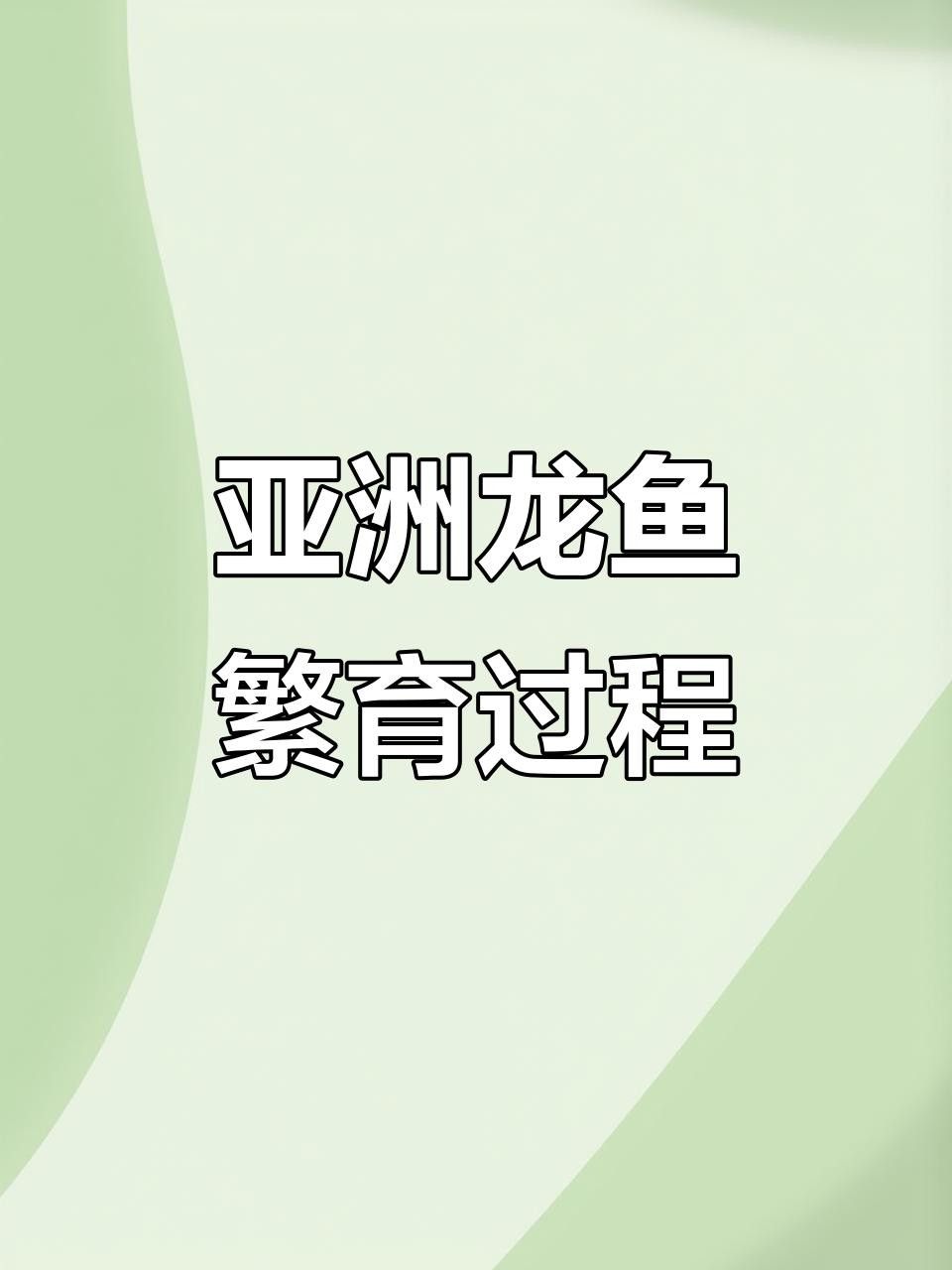 南平龍魚（五夫龍魚戲）