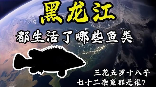 東北八大名魚（東北十大名魚排名聚能環磁驅黑龍江十大名魚哪種最合你胃口千萬度） 東北八大名魚（東北十大名魚排名聚能環磁驅黑龍江十大名魚哪種最合你胃口千萬度） 觀賞魚百科 第3張