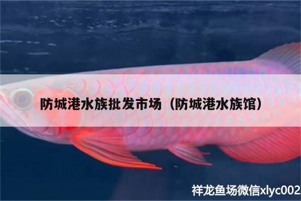 <strong><mark>防城港</mark></strong>水族批發(fā)市場(chǎng)（<strong><mark>防城港</mark></strong>水族館）（關(guān)于<strong><mark>防城港</mark></strong>水族批發(fā)市場(chǎng)的介紹）