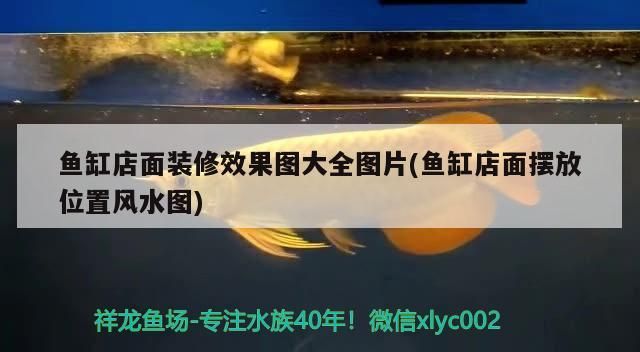 魚缸店面裝修效果圖大全圖片(魚缸店面擺放位置風(fēng)水圖)（魚缸店面裝修效果圖）
