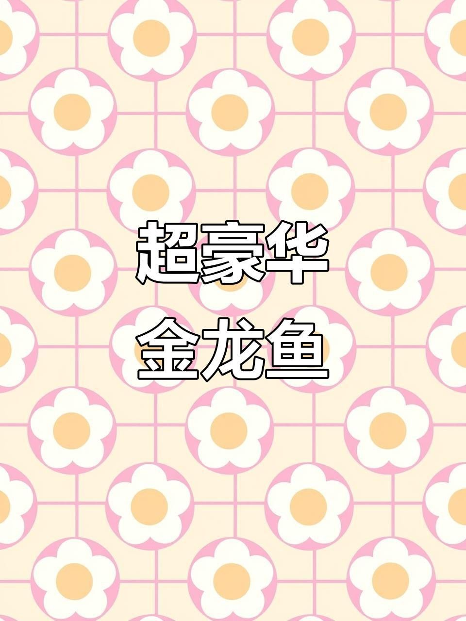 觀賞金龍魚（關于觀賞金龍魚的詳細介紹） 觀賞金龍魚（關于觀賞金龍魚的詳細介紹） 觀賞魚百科 第7張