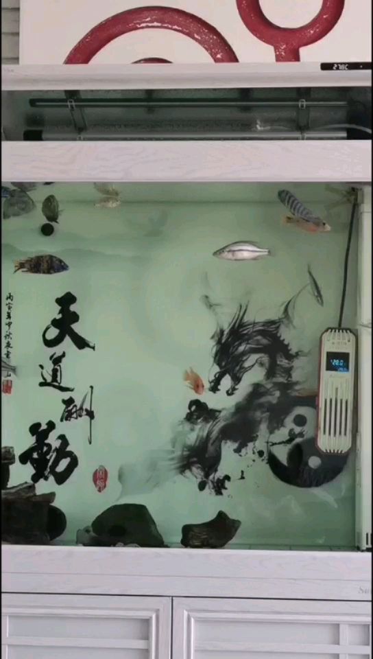 順義觀賞魚市場在哪里 順義哪里有花鳥魚蟲市場（<strong><mark>北京</mark></strong>順義花鳥魚蟲市場位于<strong><mark>北京</mark></strong>市順義觀賞魚市場在哪里）