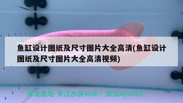 魚缸設計圖紙及尺寸圖片大全高清(魚缸設計圖紙及尺寸圖片大全高清視頻)（魚缸設計圖紙及尺寸圖片大全）