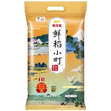 富錦金龍魚多少元一只（富錦金龍魚價(jià)格分析） 富錦金龍魚多少元一只（富錦金龍魚價(jià)格分析） 觀賞魚百科 第3張