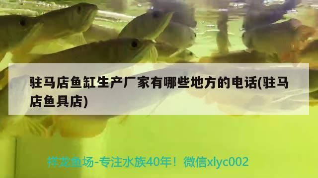 駐馬店魚缸生產廠家有哪些地方的電話(駐馬店魚具店)（駐馬店魚缸生產廠家有哪些地方的電話）