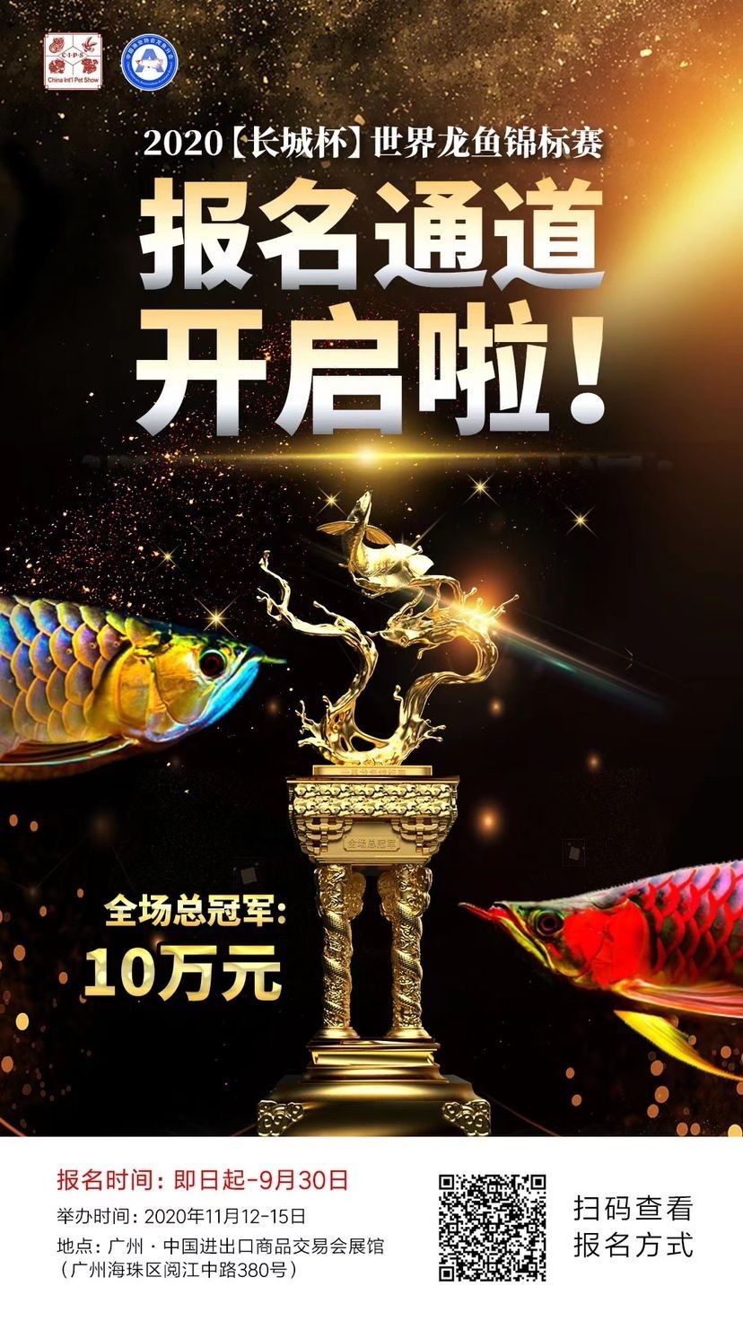 博爾塔拉蒙古自治州水族館最后兩個名額（博爾塔拉蒙古自治州水族館即將開放，目前只剩下兩個名額）