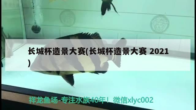 什么魚能和龍魚、虎魚混養(龍魚能和虎魚混養嗎) 長城杯造景大賽(長城杯造景大賽2021)(長城杯造景大賽2021) 觀賞魚百科 長城杯造景大賽(長城杯造景大賽2021)(長城杯造景大賽2021) 長城杯造景大賽(長城杯造景大賽2021)(長城杯造景大賽2021) 觀賞魚百科