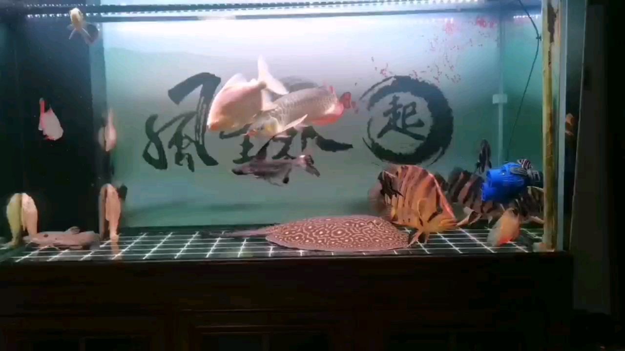 龍虎鳳大雜燴（“龍虎鳳大雜燴”這一傳統(tǒng)美食的制作與文化內涵與文化內涵）