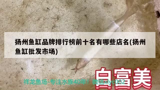 揚(yáng)州魚(yú)缸品牌排行榜前十名有哪些店名(揚(yáng)州魚(yú)缸批發(fā)市場(chǎng))（揚(yáng)州魚(yú)缸品牌排行榜前十名）