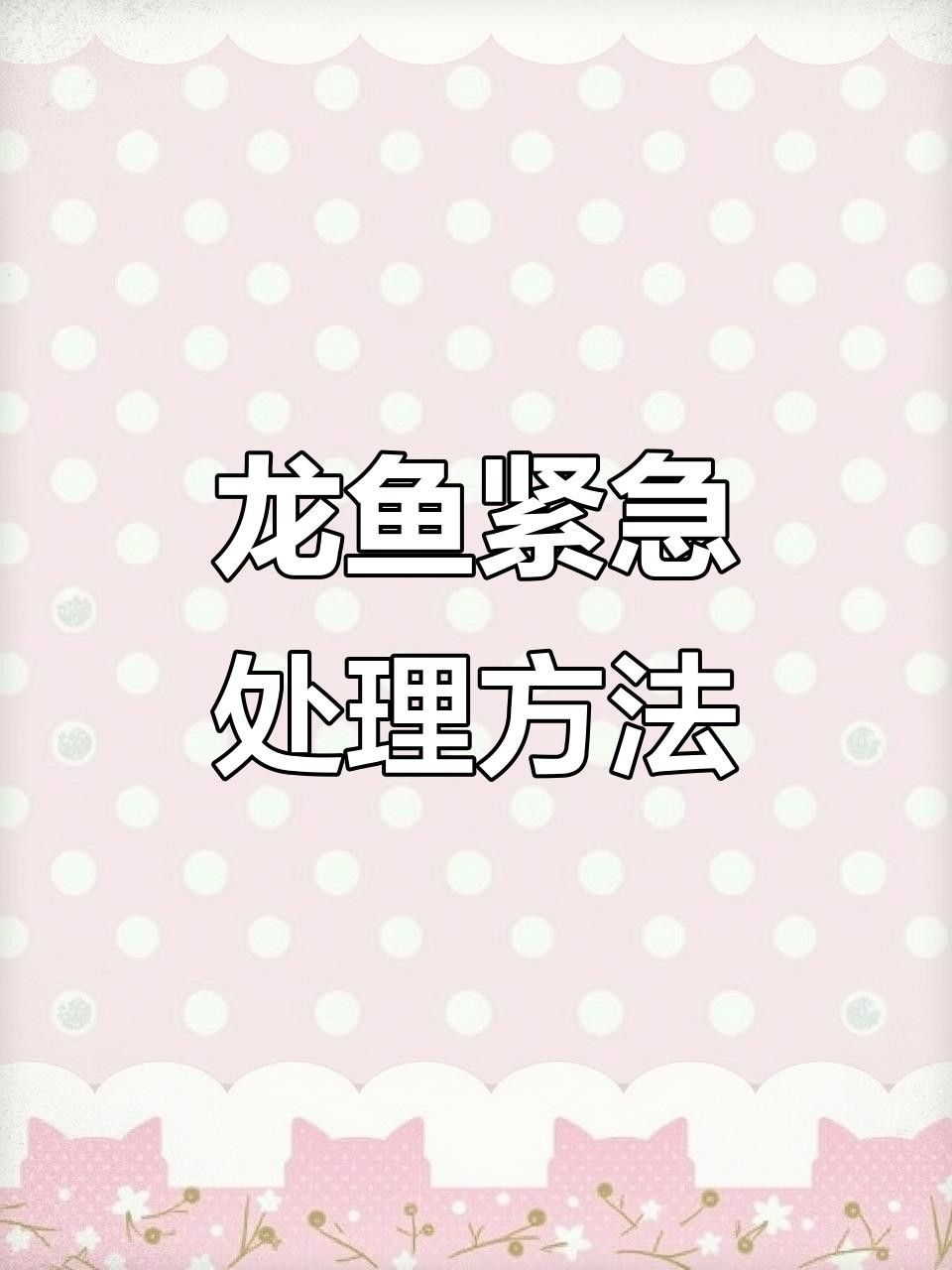 馬尾龍魚盡量少吃的原因