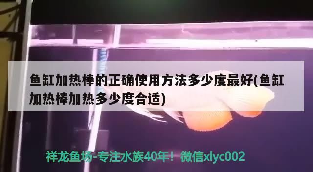 魚缸加熱棒的正確使用方法多少度最好(魚缸加熱棒加熱多少度合適)（魚缸加熱棒溫度怎么調）
