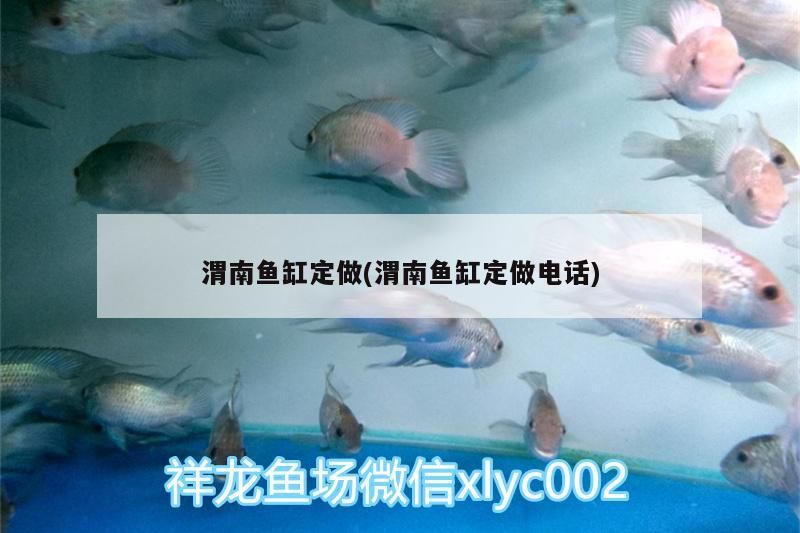 渭南魚缸定做(渭南魚缸定做電話)（渭南魚缸定做）