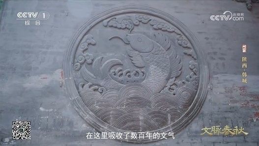韓城市鯉魚躍龍門（韓城市鯉魚躍龍門文化在當地有著深遠的影響，被通報批評） 韓城市鯉魚躍龍門（韓城市鯉魚躍龍門文化在當地有著深遠的影響，被通報批評） 觀賞魚百科 第7張