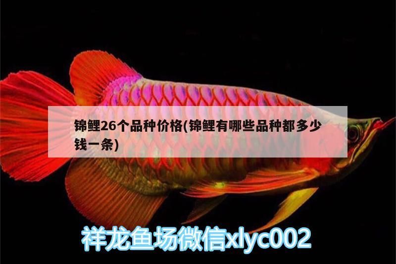 錦鯉26個(gè)品種價(jià)格(錦鯉有哪些品種都多少錢一條)（史上最貴的錦鯉有哪些）