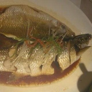 龍葵魚是什么魚（龍葵魚的產地有哪些龍葵魚的產地有哪些）
