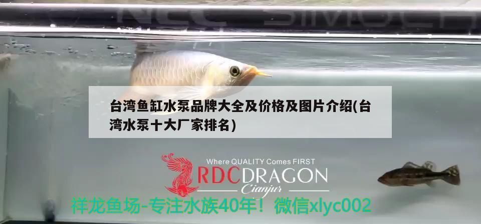 臺灣魚缸水泵品牌大全及價格及圖片介紹(臺灣水泵十大廠家排名)（臺灣魚缸水泵品牌大全及價格及價格及圖片介紹） 臺灣魚缸水泵品牌大全及價格及圖片介紹(臺灣水泵十大廠家排名)（臺灣魚缸水泵品牌大全及價格及價格及圖片介紹） 觀賞魚百科