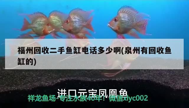 福州回收二手魚缸電話多少啊(<strong><mark>泉州</mark></strong>有回收魚缸的)（<strong><mark>泉州</mark></strong>回收二手魚缸電話多少啊）