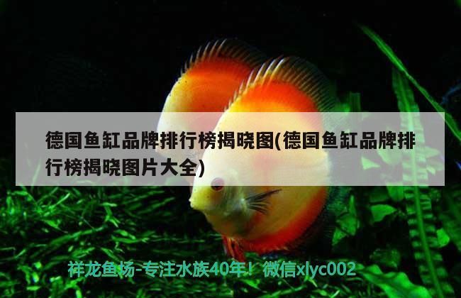 德國魚缸品牌排行榜揭曉圖(德國魚缸品牌排行榜揭曉圖片大全)（德國魚缸為什么這么受歡迎）