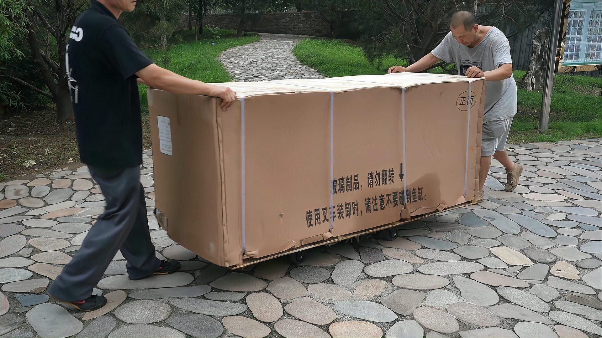 龍魚倒缸注意事項（氧寵博士龍魚趴缸底最忌三種東西纖姿周五龍魚換缸技巧大揭秘）
