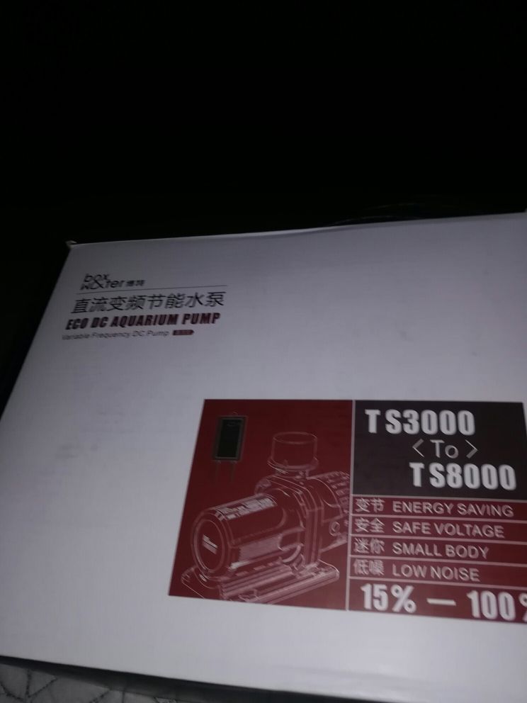 龍魚配合飼料喂什么好養（ 龍魚喂什么魚）（銀龍魚飼料喂什么好養，龍魚配合飼料喂什么好養，龍魚喂什么好養）