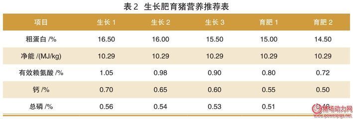 紅龍魚金龍魚銀龍魚可以混養嗎:紅龍魚、金龍魚和銀龍魚可以混養嗎,如何處理潛在的健康風險 觀賞魚百科 第1張 紅龍魚金龍魚銀龍魚可以混養嗎:紅龍魚、金龍魚和銀龍魚可以混養嗎,如何處理潛在的健康風險 紅龍魚金龍魚銀龍魚可以混養嗎:紅龍魚、金龍魚和銀龍魚可以混養嗎,如何處理潛在的健康風險 觀賞魚百科 第1張