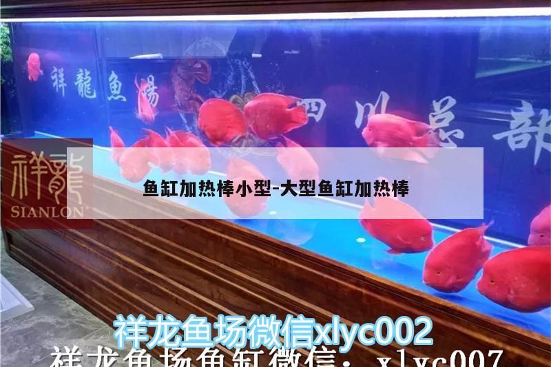 魚缸加熱棒小型:大型魚缸加熱棒（魚缸加熱棒小型和大型加熱棒對應的相關信息）