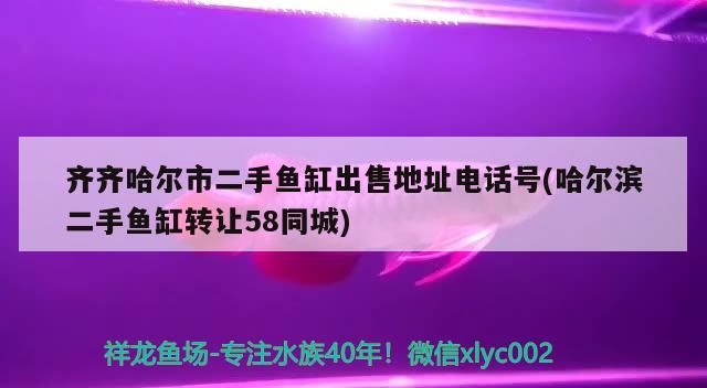 齊齊哈爾市二手魚缸出售地址電話號(哈爾濱二手魚缸轉讓58同城)（黑龍江省齊齊哈爾市二手魚缸出售地址電話號和哈爾濱二手魚缸出售）