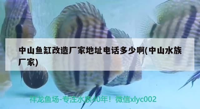 <strong><mark>中山</mark></strong>魚缸改造廠家地址電話多少啊(<strong><mark>中山</mark></strong>水族廠家)（<strong><mark>中山</mark></strong>魚缸改造廠家地址電話多少<strong><mark>中山</mark></strong>魚缸改造廠家地址電話多少）