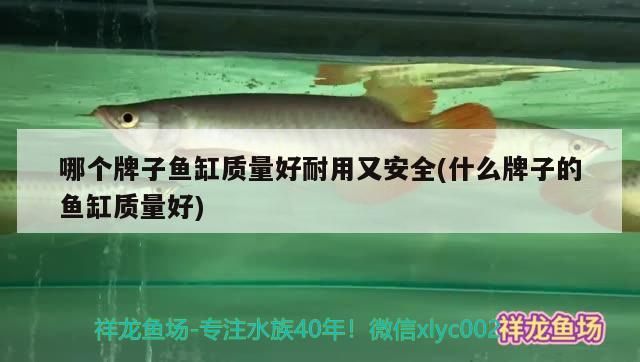 哪個牌子魚缸質量好耐用又安全(什么牌子的魚缸質量好)