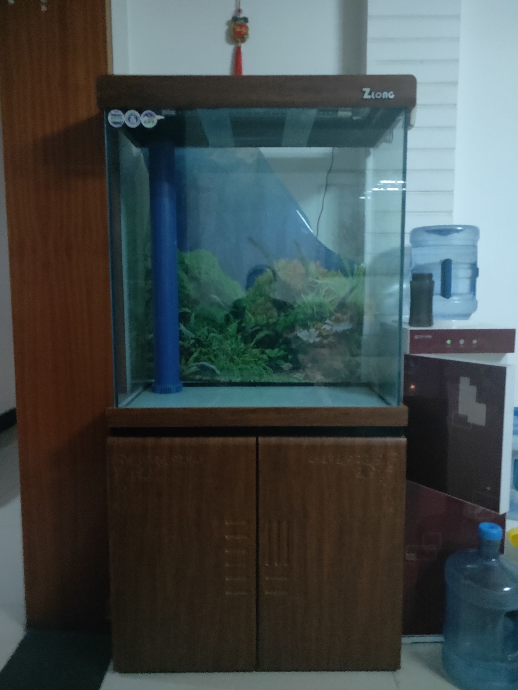 40*60*80的缸年前養(yǎng)的錦鯉爛尾爛鰓趴底魚死完了現(xiàn)在想重新開缸怎么消毒我是新(養(yǎng)錦鯉魚的缸只能養(yǎng)兩條,過濾沒沉淀,沒細菌屋) 觀賞魚百科 第1張 40*60*80的缸年前養(yǎng)的錦鯉爛尾爛鰓趴底魚死完了現(xiàn)在想重新開缸怎么消毒我是新(養(yǎng)錦鯉魚的缸只能養(yǎng)兩條,過濾沒沉淀,沒細菌屋) 40*60*80的缸年前養(yǎng)的錦鯉爛尾爛鰓趴底魚死完了現(xiàn)在想重新開缸怎么消毒我是新(養(yǎng)錦鯉魚的缸只能養(yǎng)兩條,過濾沒沉淀,沒細菌屋) 觀賞魚百科 第1張