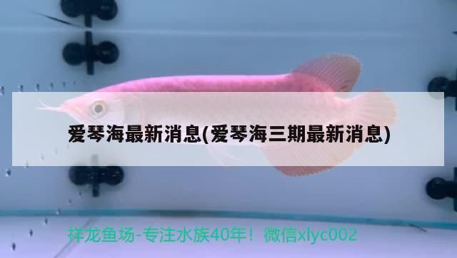 愛琴海最新消息(愛琴海三期最新消息)（太原王家峰愛琴海啥時候完工） 愛琴海最新消息(愛琴海三期最新消息)（太原王家峰愛琴海啥時候完工） 觀賞魚百科