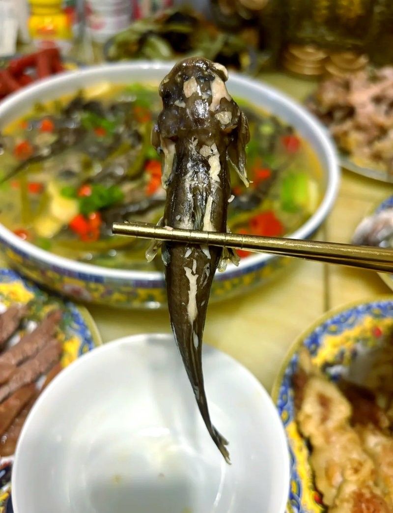 四川最貴的淡水魚（四川最貴的淡水魚是石巴子、石爬子、石爬子、石爬[需手動填充]）